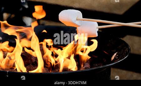Toasting marshmallows on long sticks over open brasier outdoors. Stock Photo