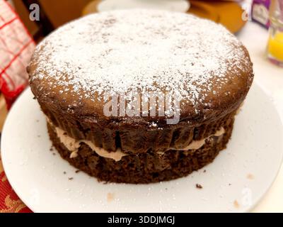 Close up view of a homemade chocolate cake, dusted with icing sugar on a white plate. Stock Photo