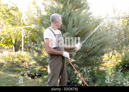 Unrecognizable male senior gardener watering the plants in garden using rubber hose, taking care of bushes, trees Stock Photo