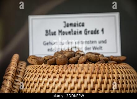 Close up of rare roasted Jamaica Blue Mountain Grade 1 coffee beans in a wicker basket at an artisanal roaster in the city center, Zurich, Switzerland Stock Photo