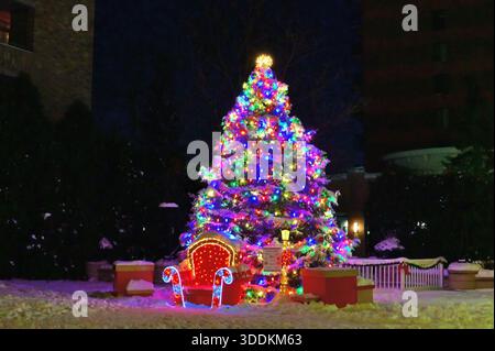 Arlington Heights, Illinois, USA. A multi-colored and brightly lit Christmas tree in a northwest suburban Chicago community. Stock Photo