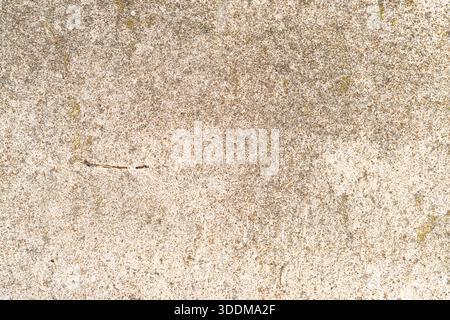 Detailed view of a distressed concrete wall surface showing a rugged, textured abstract background with subtle shades of grey, brown, and green, creat Stock Photo