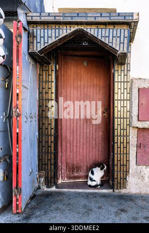 A black and white cat sits calmly at a tall red wooden door, framed by blue-and-beige tile bricks. This textured urban entrance scene evokes curiosity Stock Photo