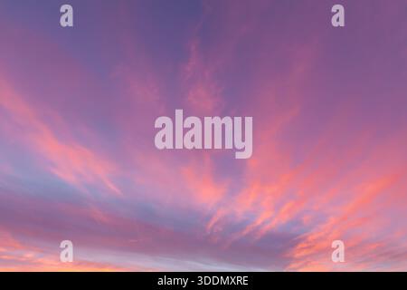 Amazing pink sunset sky with wispy pink clouds in the evening in Norfolk England Stock Photo