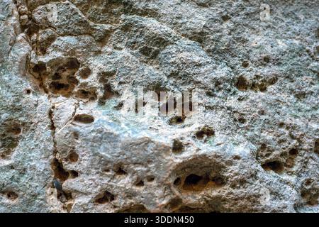 Weathered limestone rock surface with natural holes and rough texture close up. Background. Stock Photo