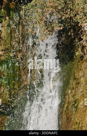 Water flows rapidly over a rocky cliff, creating a beautiful waterfall. Lush green foliage surrounds the cascading water, reflecting sunlight in the a Stock Photo