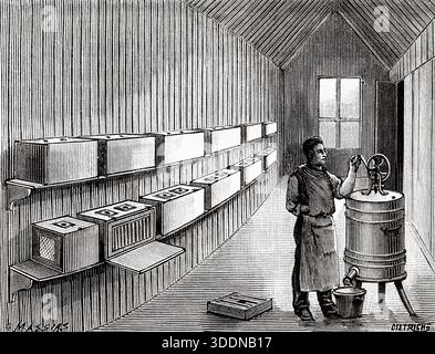 New methods of beekeeping in 1893. Interior of the apiary. — Two rows of hives, one of which is open, allowing a view through a window of the frames where the bees are housed. — On the right, a centrifugal extractor. Old 19th century engraved illustration from La Nature 1893 Stock Photo