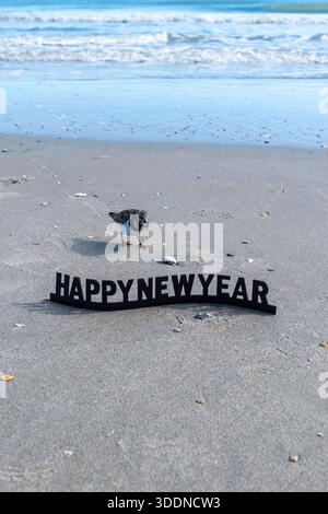A bird is on the sand next to a sign that says Happy New Year. The beach is empty and the water is calm Stock Photo