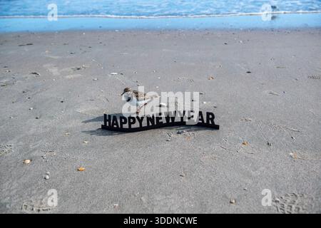 A bird is on the sand next to a sign that says Happy New Year. The beach is empty and the water is calm Stock Photo