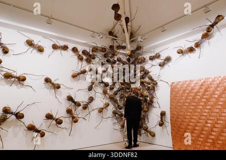The long now: Saatchi Gallery at 40 exhibition Stock Photo - Alamy