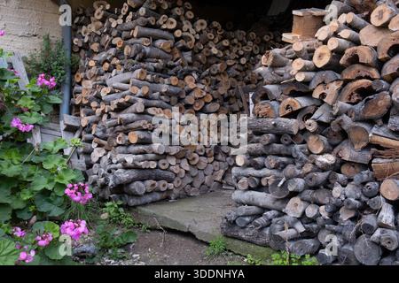 Pile of chopped firewood and logs. Firewood, logs, and chopped wood for heating or burning. The concept of firewood preparation and wood storage. Stock Photo