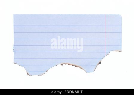 Blue lined notebook paper with torn bottom edge isolated on white, realistic school or office stationery texture. Stock Photo