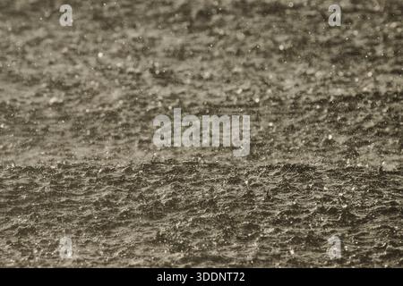 water surface of the Gulf of Finland in heavily rain, raindrops, storm. High quality photo Stock Photo