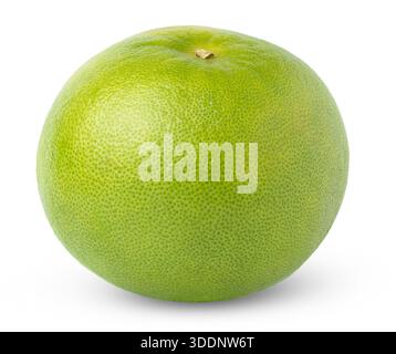 Whole fresh citrus grapefruit sweetie fruit isolated. Stock Photo