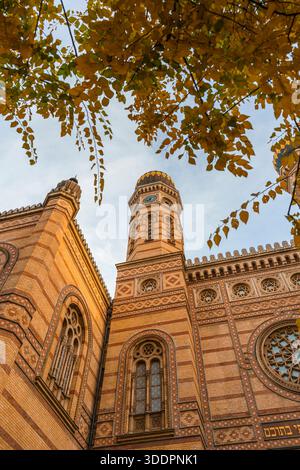 Beautiful autumn-colored trees in front of the Dohany Street Synagogue, Budapest, Hungary. Stock Photo