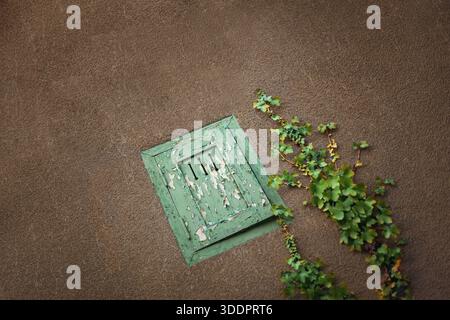 Ivy climbing the plastered wall of an abandoned house Stock Photo