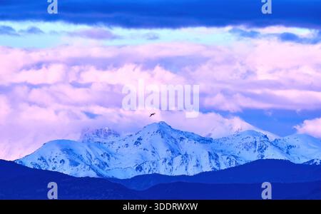 Majestic Snowy Mountain Range Under Blue, Purple and Pink Sky With a Flying Bird Stock Photo