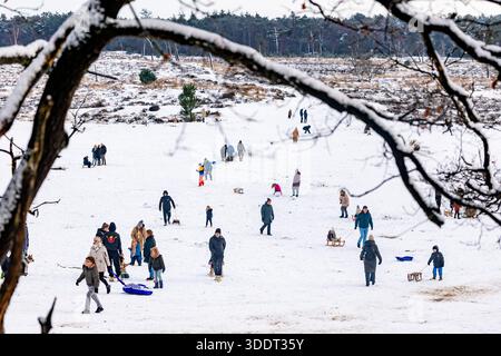 LOON OP ZAND - Snow fun in the Loonse en Drunense Dunes National Park. A code yellow is in effect nationwide for slippery conditions due to snow or icy roads. IRIS VAN DEN BROEK / ANP netherlands out - belgium out Stock Photo