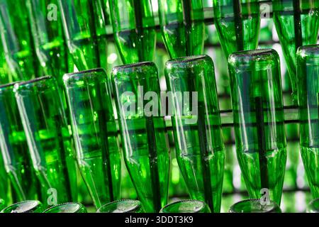Background of empty green glass bottles.  Close up view . Stock Photo