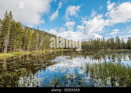 Beautiful landscape at Nymph Lake in Rocky Mountain National Park., Colorado Stock Photo
