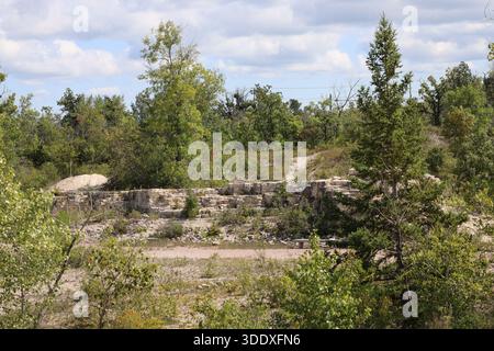 section of historic limestone quarry now overgrown by bushes, trees of dense boreal forest in summer sunshine under partly cloudy skies (landscape) Stock Photo