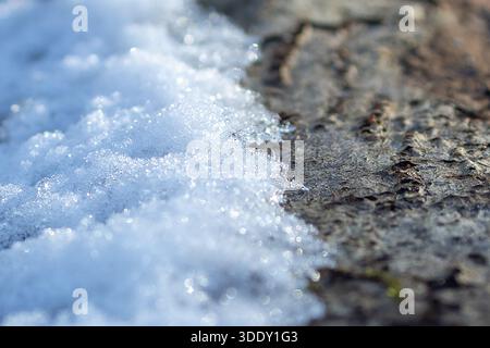 Fresh Snow on a Fallen Tree Stock Photo