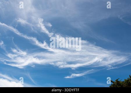 Whispy white clouds on a sunny summers day in New Zealand Stock Photo