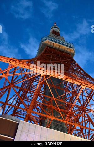 Tokyo and Tokyo Tower at Night Stock Photo - Alamy
