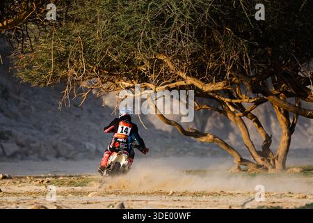 14 DOCHERTY Michael (rsa), BAS World KTM Team, KTM, Rallye 2, FIM W2RC(00)