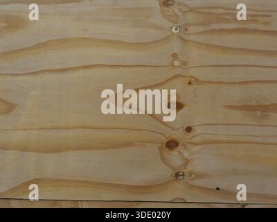 Light brown plywood board with grain and knots. Construction material, wood texture, natural motif. Close-up,  Copyspace. Stock Photo