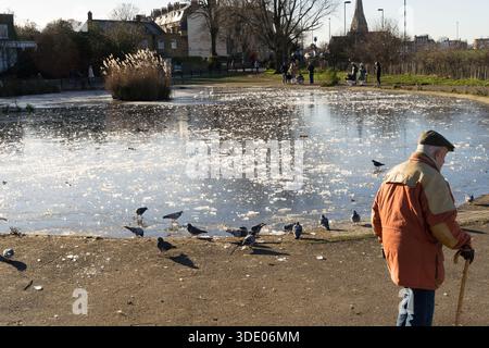 Greenwich, London, UK, 4th January 2026:  UK Weather. Visitor watches seagulls and waterfowl at frozen pond in Greenwich Park during cold snap affecting London, as birds gather near the ice-covered water's edge. The person, dressed in winter clothing including beige coat and hat, observes the congregation of gulls on the icy surface while other birds fly overhead. Cold weather has drawn larger numbers of birds to the park's ponds . wildlife watching opportunities for visitors during freezing conditions. Credit: glosszoom/Ģ����ý Live News Stock Photo