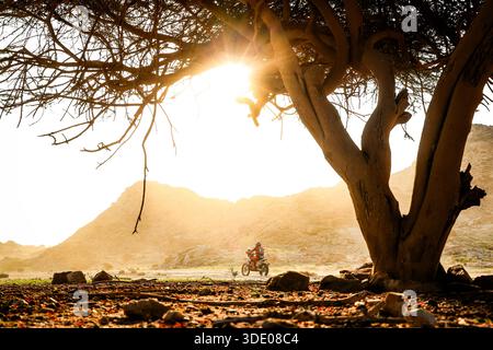 16 MULEC Toni (slo), BAS World KTM Team, KTM, Rallye 2, FIM W2RC(00)