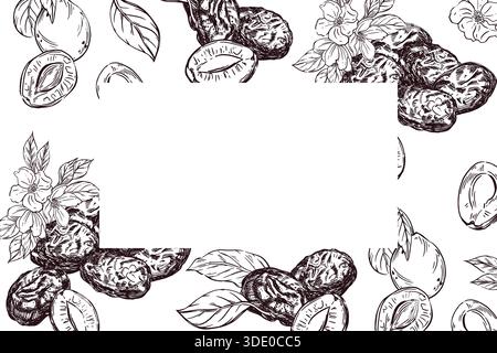 Vector illustration of fruits. Hand drawn vintage style frame with plum and prune fruit, leaves and blossoming flowers. Botanical natural food border Stock Vector
