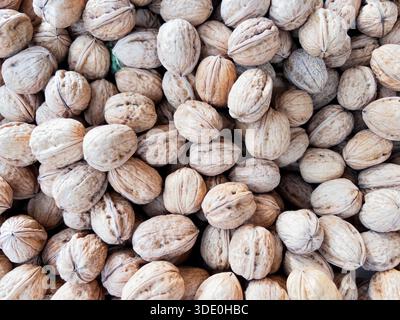 Walnuts in shell close-up, natural food product, healthy fats, organic nutrition, texture and background. Stock Photo