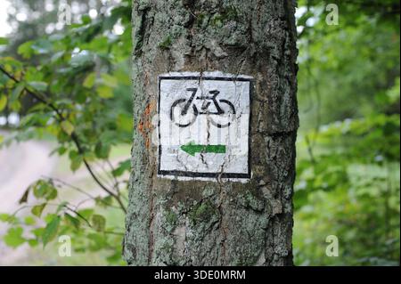 Bicycle riding trail mark or traffic sign painted on trees showing direction for bikers and hikers on trails in forest in Poland, Europe Stock Photo