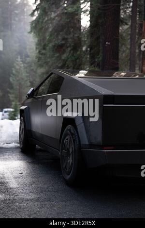 Rear view of a modern electric pickup truck parked on a wet forest road surrounded by pine trees and snow. Sustainable transportation concept, outdoor Stock Photo