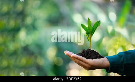 On Earth Day, concept of environmental protection is celebrated, as hands join together to nurture growth of trees and leaves, emphasizing our commitm Stock Photo