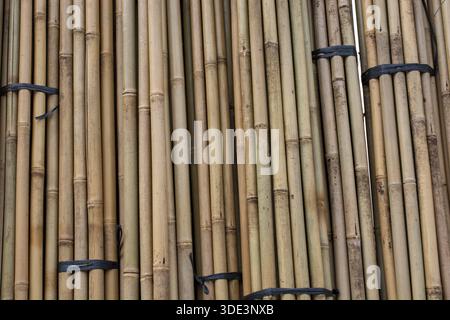 Close up full frame texture of vertical dry brown bamboo poles arranged as a natural fence Stock Photo