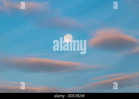 a serene evening sky featuring a bright, full moon centered in the image. The sky is a gradient of blue, soft, pink-tinged clouds are scattered across Stock Photo