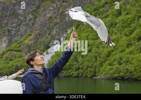 Young man feeding seagulls flying over the ferry boat. Young male tourist on the deck of a ferry in Norway. Tour of Norway. Tourist feeds seagulls fro Stock Photo
