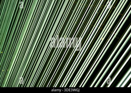 abstract straight neon lights on dark background Stock Photo