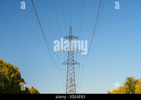 Tall electric pylon, clear blue sky, treetop silhouettes framing base, converging power lines creating leading lines, late-afternoon light, minimalist Stock Photo