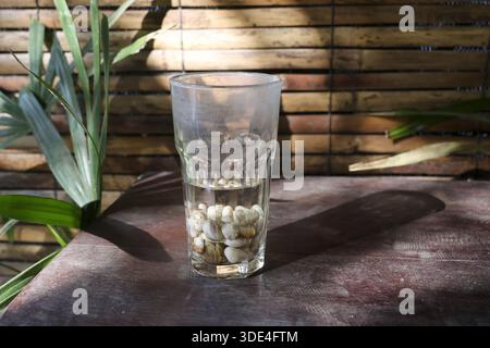 Clear glass with water and white pebbles standing on dark wooden table against bamboo wall background with green leaves under bright sunlight creating Stock Photo