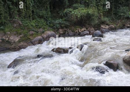 Strong current river water flowing fast over rock stone causing splash spray foam bubble beautiful powerful refreshing nature scene forest jungle envi Stock Photo