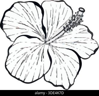 Minimalist vector line illustration of hibiscus flower isolated on white background, clean botanical floral graphic ideal for logos, icons, prints, posters, packaging and modern design projects. Stock Vector