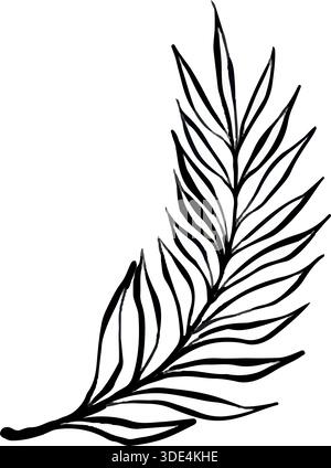 Vector line illustration of tropical palm leaf branch isolated on white background, clean botanical graphic ideal for logos, prints, packaging, posters and modern minimalist design projects. Stock Vector