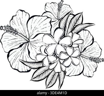 vector line illustration of tropical flower composition with hibiscus and plumeria blossoms, on white background, elegant botanical graphic for logos, prints, packaging and modern design projects. Stock Vector