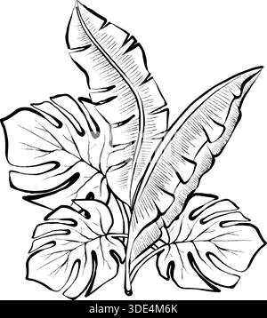Vector line illustration of tropical leaves with monstera and banana foliage, isolated on white background, clean botanical graphic for logos, prints, packaging, posters and design projects. Stock Vector