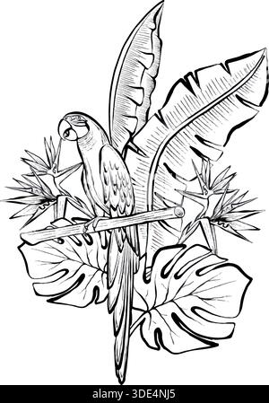 Parrot sitting on branch with tropical banana and monstera leaves in vector line illustration, on white background, botanical wildlife graphic for logos, prints, packaging, posters and branding. Stock Vector