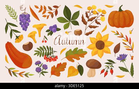 Autumn elements. Fall season leaf, mushroom and pumpkin, apple tree with nature berry plant harvest. Maple, oak leaves stickers. Harvest pumpkin and grape. Vector hand drawn flat botanical poster Stock Vector